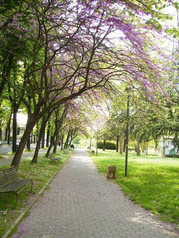 I Tigli Guest House Piacenza Zewnętrze zdjęcie